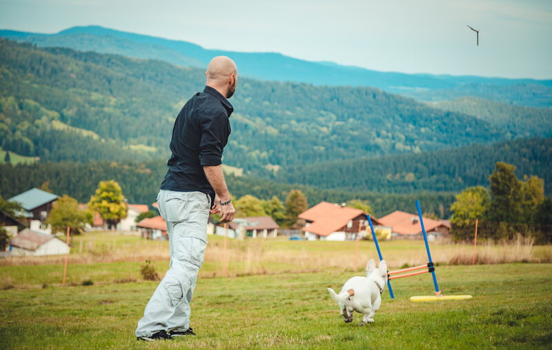 Mann spielt mit Hund auf Hundewiese mit Parcours im bayerischen Wald